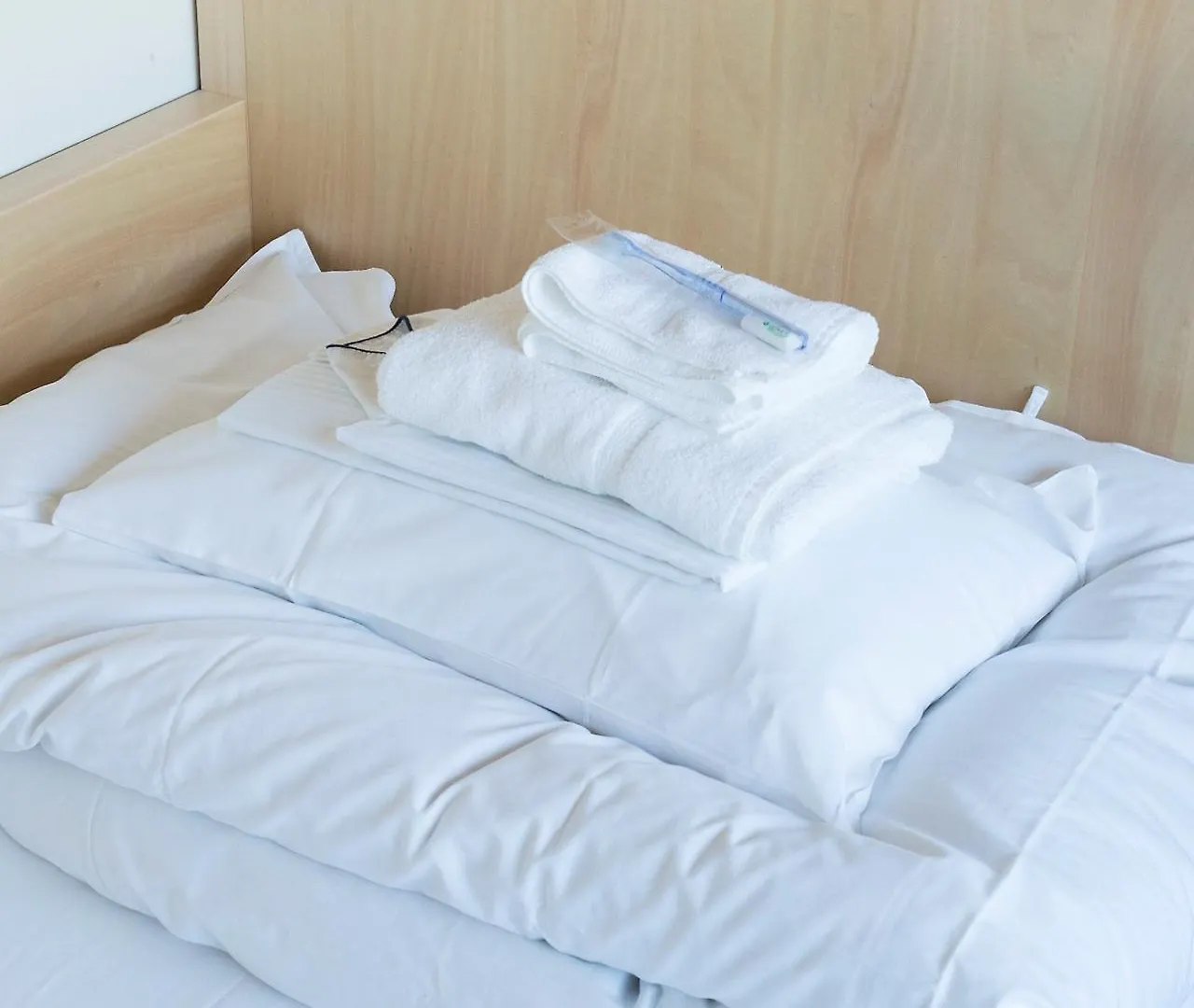 The Share Hotels Lyuro Tokyo Kiyosumi - Vacation Stay 79646 2*,  Japan
